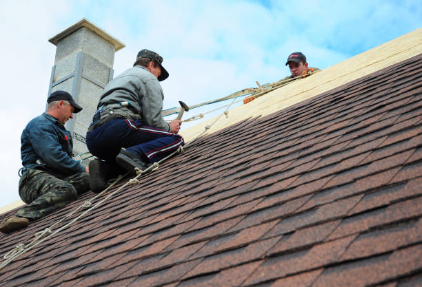 Best Storm Damage Roof Repair  in Portsmouth, VA